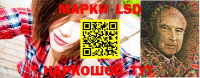 гидропоника Будённовск