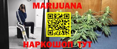 гидропоника Будённовск