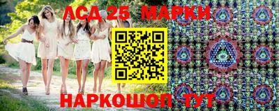 гидропоника Будённовск