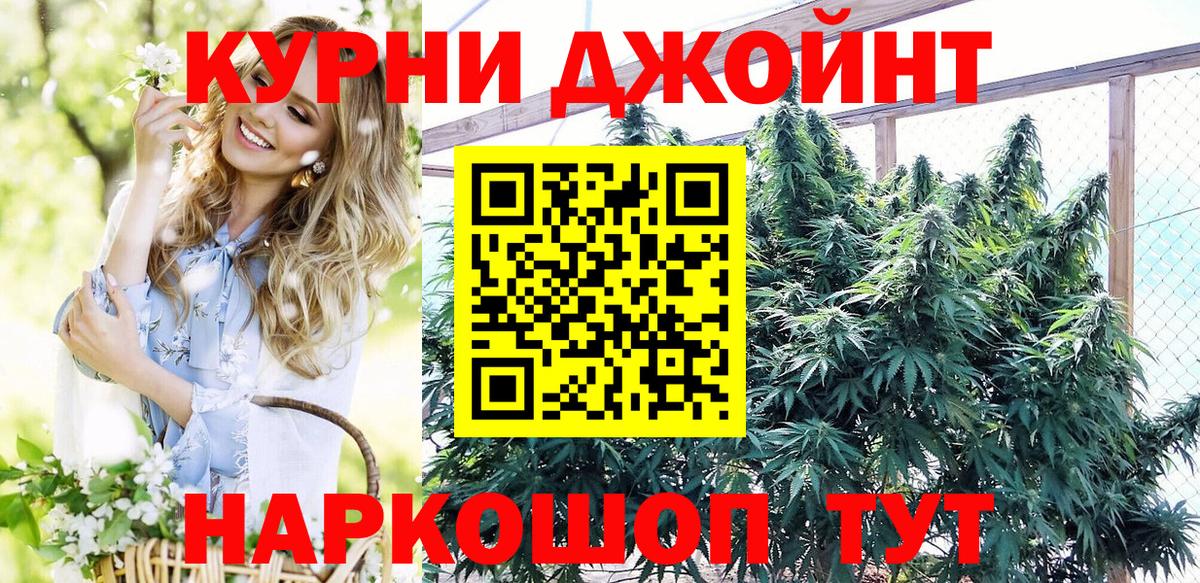 Бошки Шишки планчик  Вход с VPN  МАРИХУАНА тримм  МАРИХУАНА индика  Сальск  Бошки марихуана индика 